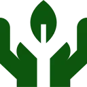 Green hands cupping a tree with a leaf, symbolizing environmental protection.
